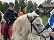 Projektový den svatého Martina